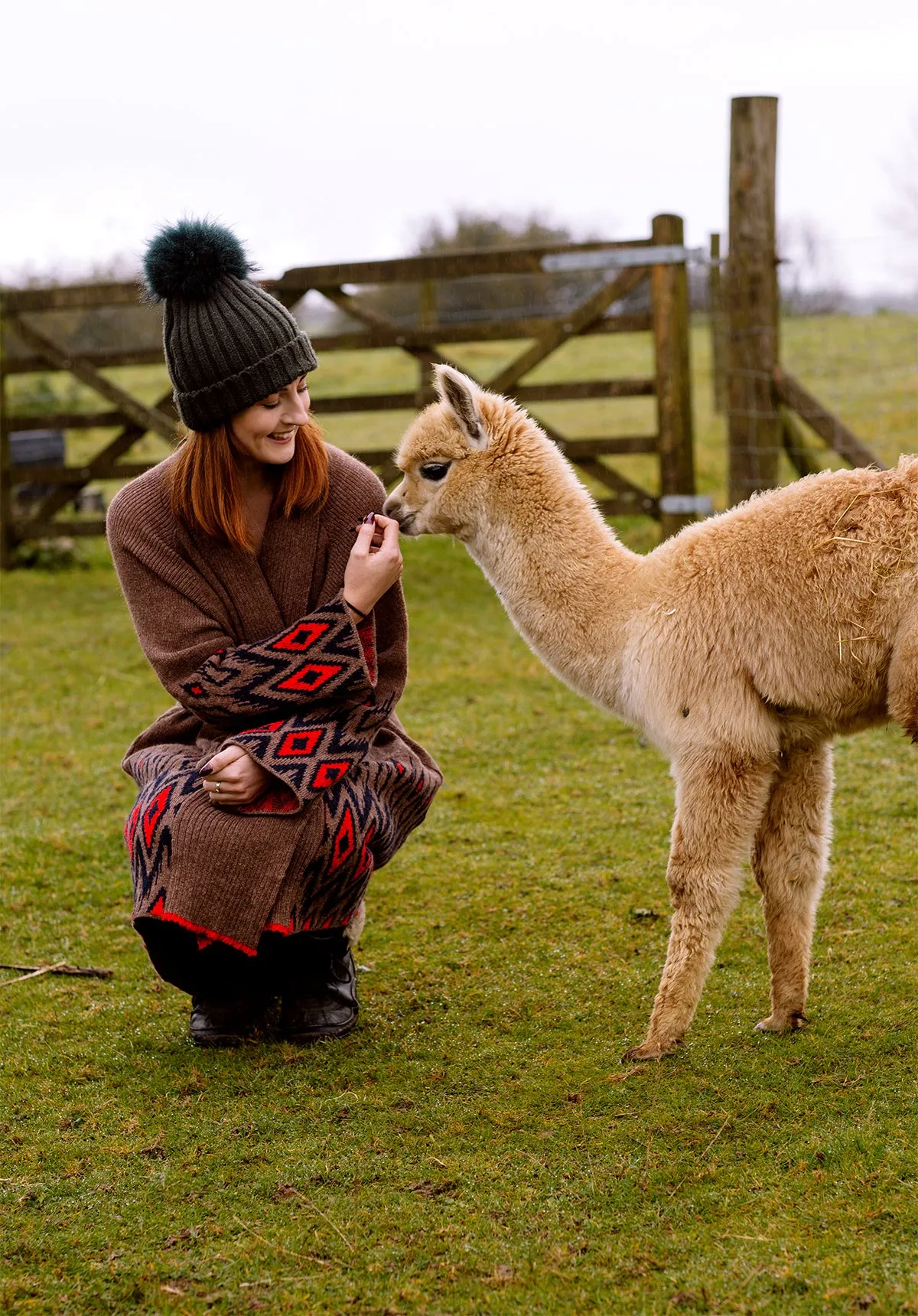 Alpaca Coatigan Earth Brown - Shop Now