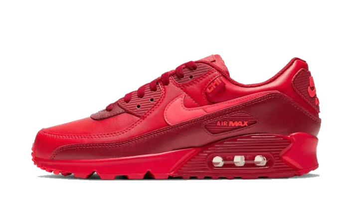 Nike Air Max 90 Chicago Special