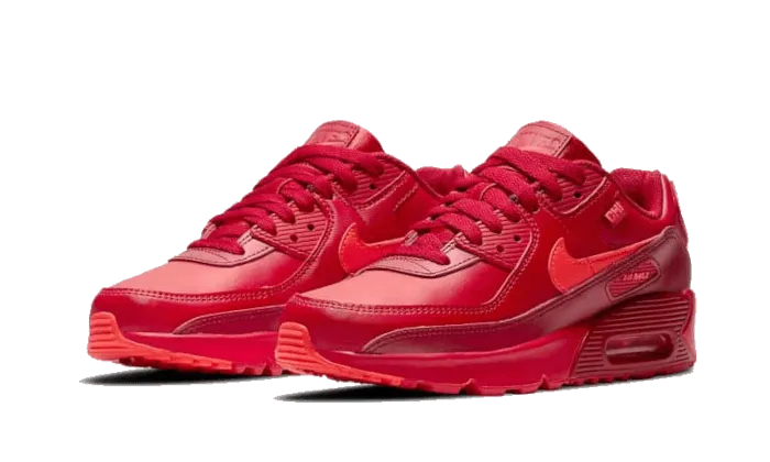 Nike Air Max 90 Chicago Special