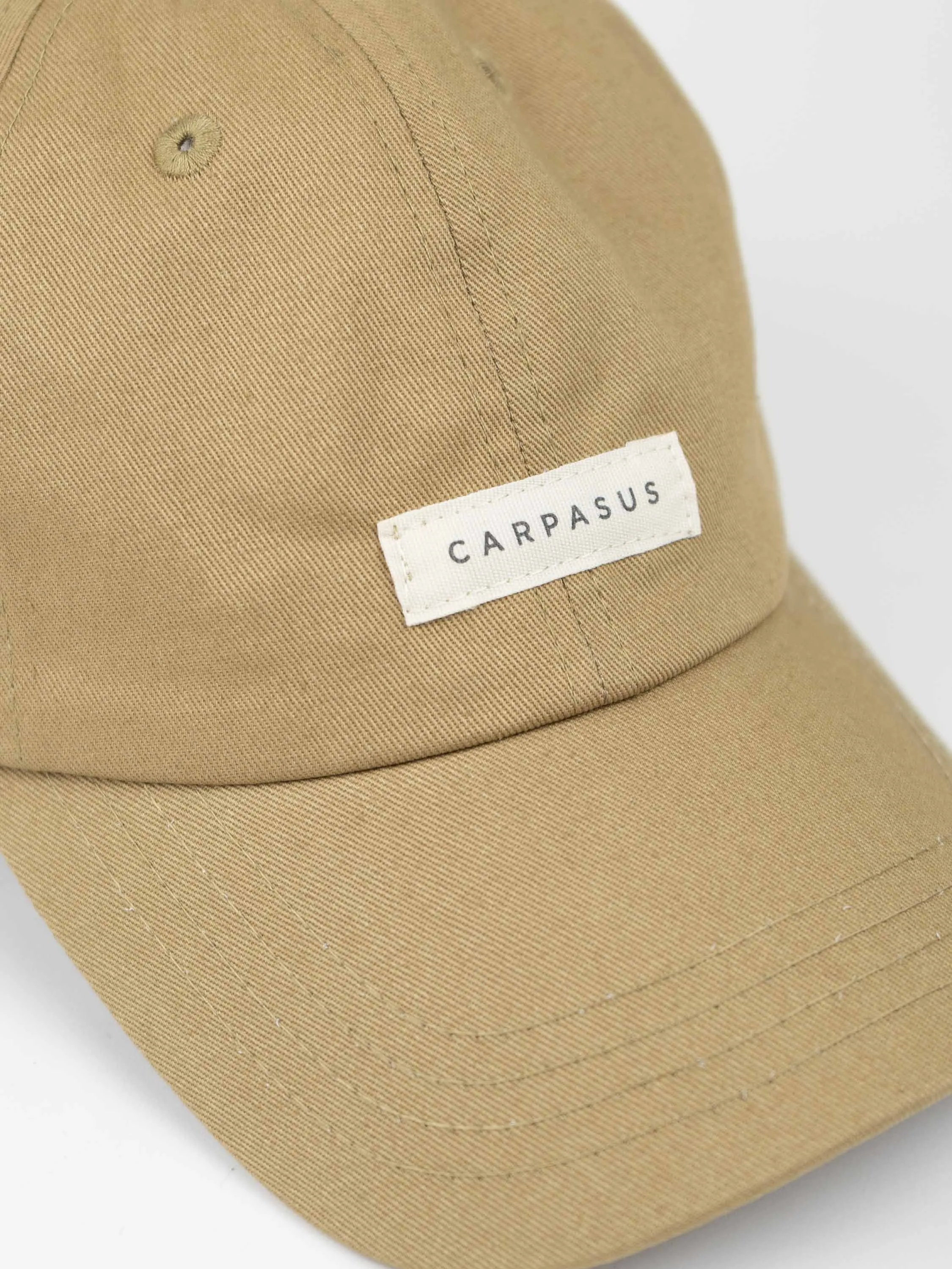 Sand Cap for CARPASUS