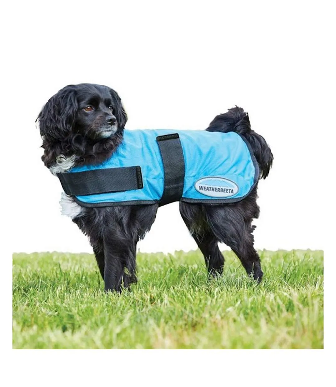 Blue Dog Cooling Coat 45cm - Weatherbeeta